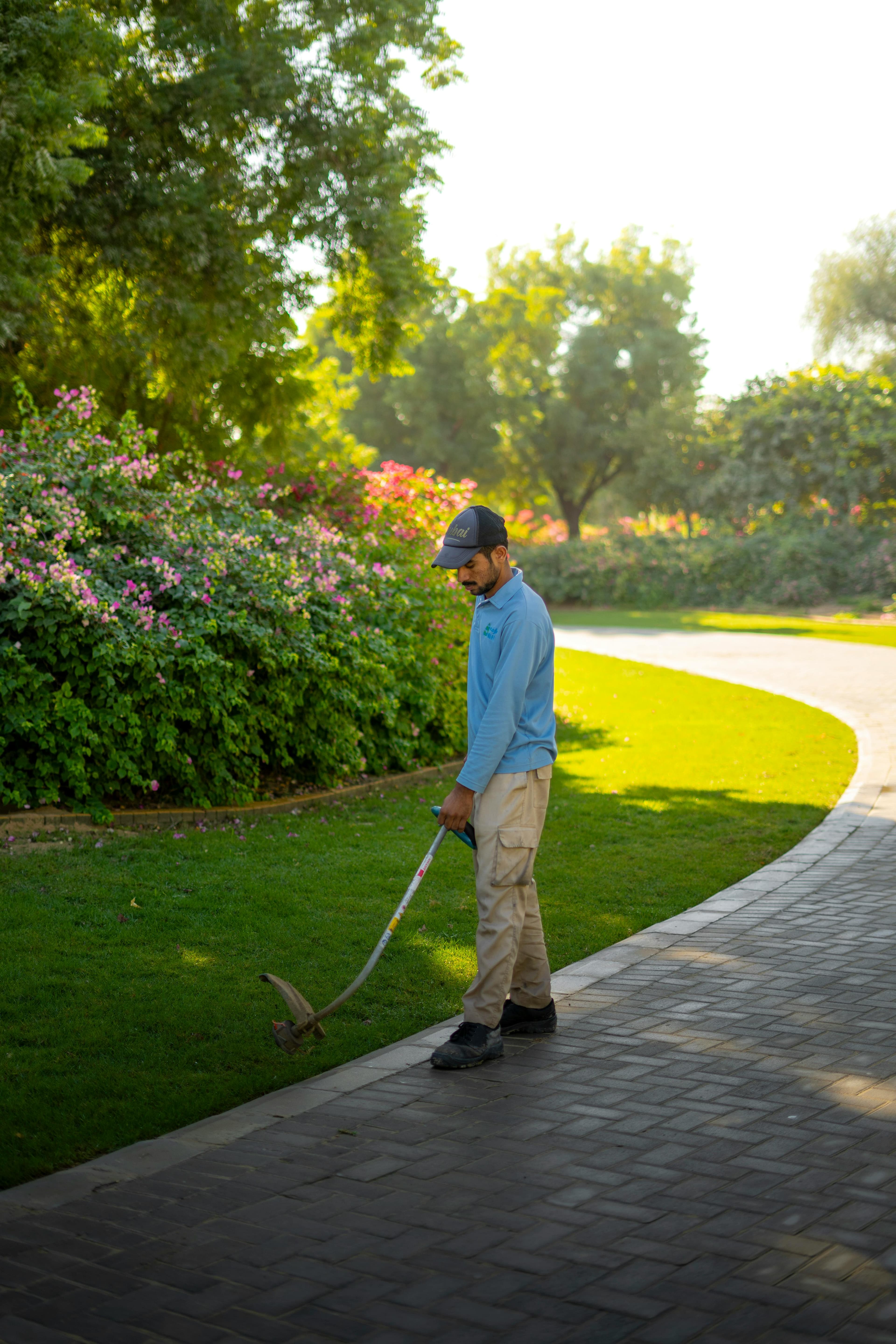 Lawn Maintenance